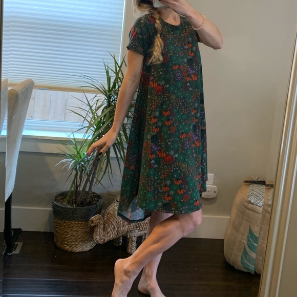 LuLaRoe Dress - Picture 2 of 5